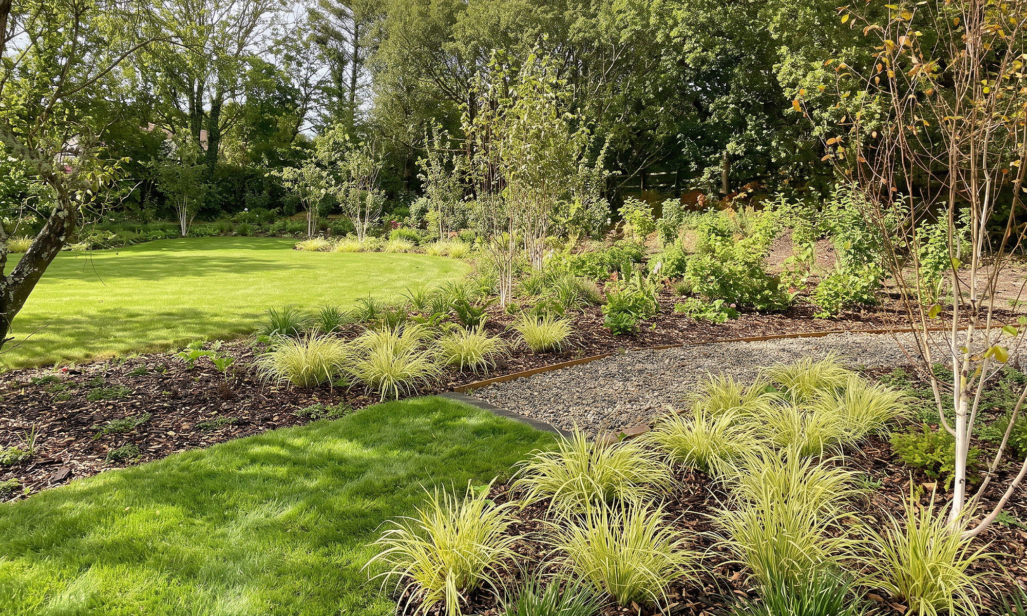 Garden Design in Mumbles Gower Swansea | David Hastie