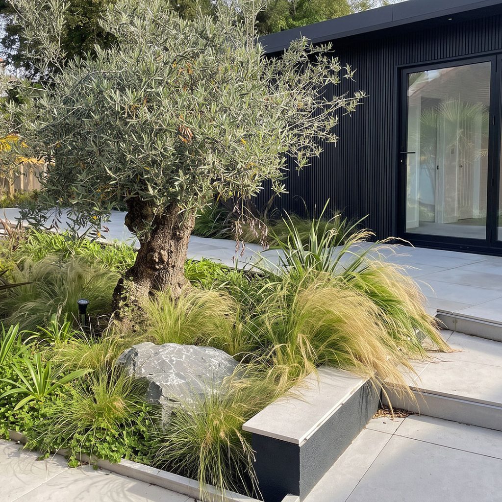 Garden Design in Mumbles Gower Swansea | David Hastie